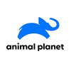 ANIMAL PLANET